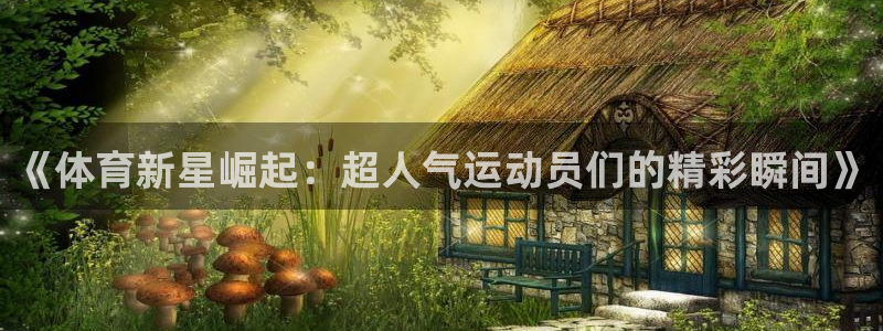 《体育新星崛起：超人气运动员们的精彩瞬间》