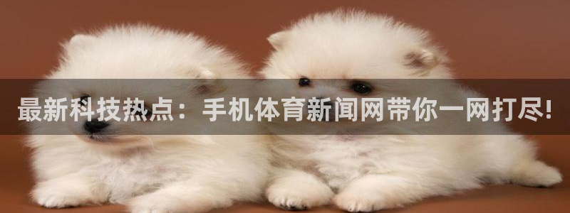 最新科技热点：手机体育新闻网带你一网打尽!