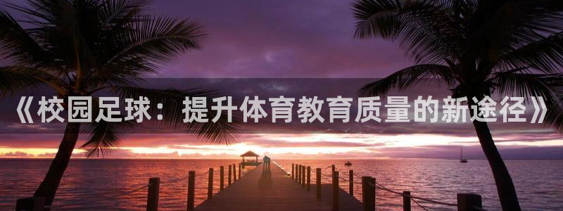 《校园足球：提升体育教育质量的新途径》