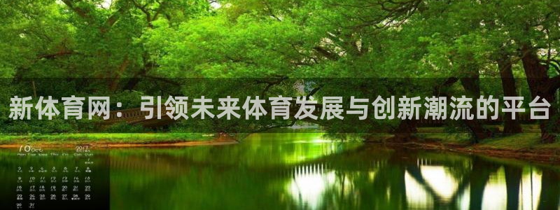 新体育网：引领未来体育发展与创新潮流的平台