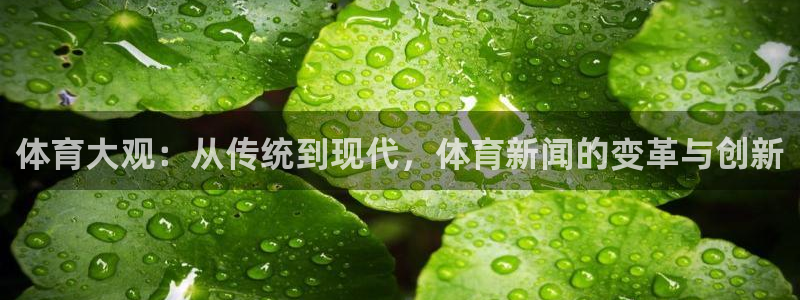 体育大观：从传统到现代，体育新闻的变革与创新
