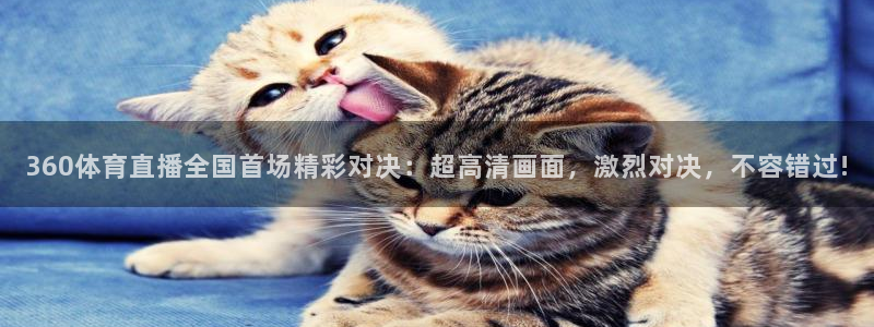 360体育直播全国首场精彩对决：超高清画面，激烈对决，不容错过!