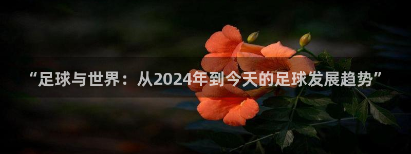 “足球与世界：从2024年到今天的足球发展趋势”