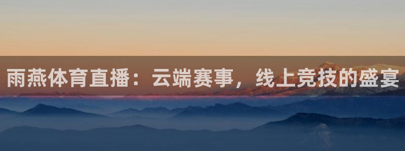雨燕体育直播：云端赛事，线上竞技的盛宴