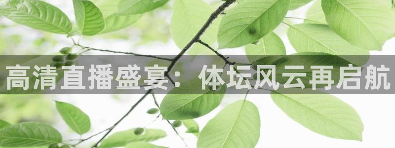 高清直播盛宴：体坛风云再启航