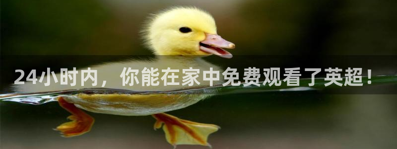 24小时内，你能在家中免费观看了英超！