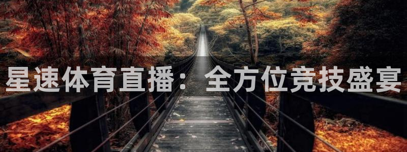 星速体育直播：全方位竞技盛宴