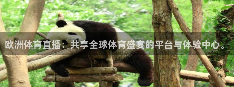 欧洲体育直播：共享全球体育盛宴的平台与体验中心。