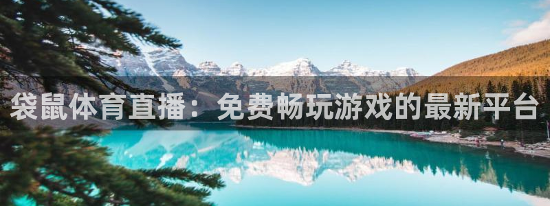 袋鼠体育直播：免费畅玩游戏的最新平台