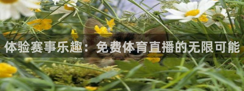 体验赛事乐趣：免费体育直播的无限可能