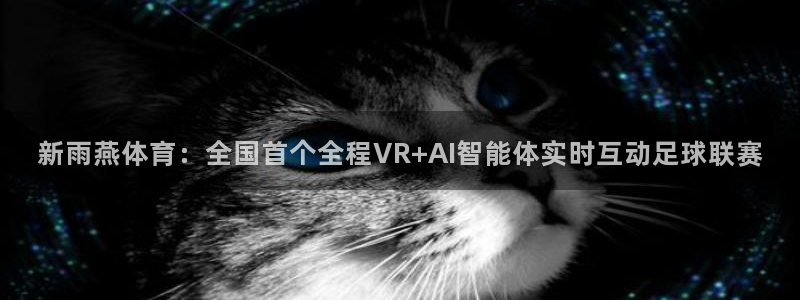 新雨燕体育：全国首个全程VR+AI智能体实时互动足球联赛