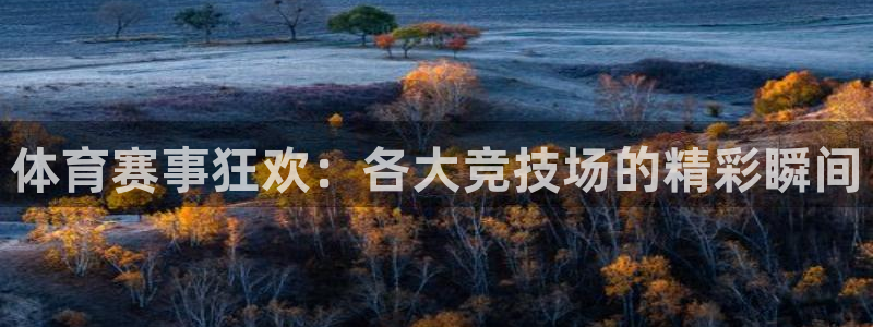 体育赛事狂欢：各大竞技场的精彩瞬间