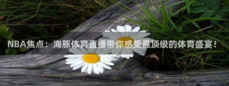 NBA焦点：海豚体育直播带你感受最顶级的体育盛宴！