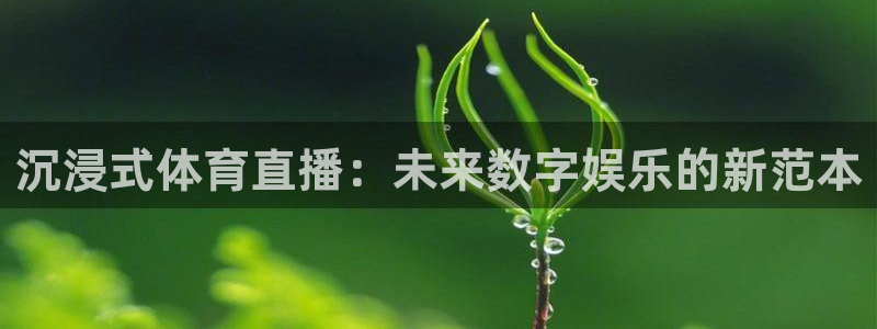 沉浸式体育直播：未来数字娱乐的新范本