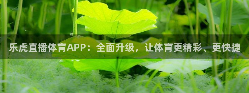 乐虎直播体育APP：全面升级，让体育更精彩、更快捷