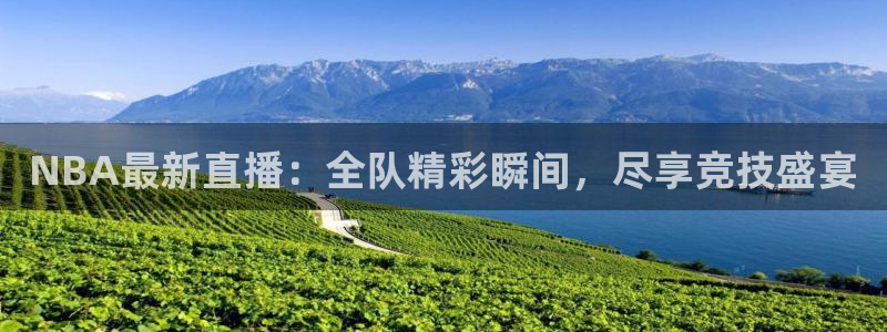 NBA最新直播：全队精彩瞬间，尽享竞技盛宴