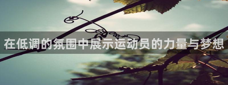 在低调的氛围中展示运动员的力量与梦想