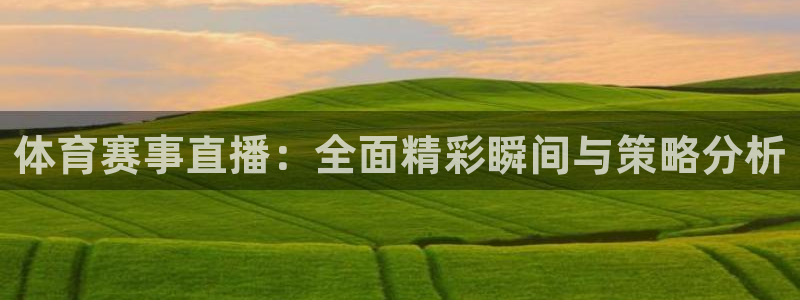 体育赛事直播：全面精彩瞬间与策略分析