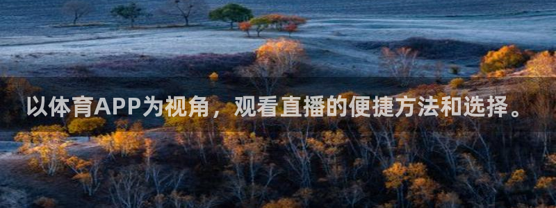 以体育APP为视角，观看直播的便捷方法和选择。