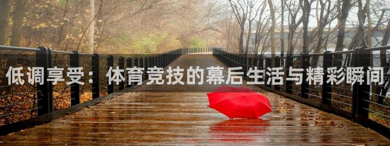 低调享受：体育竞技的幕后生活与精彩瞬间