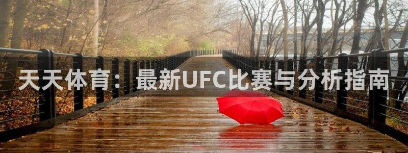 天天体育：最新UFC比赛与分析指南