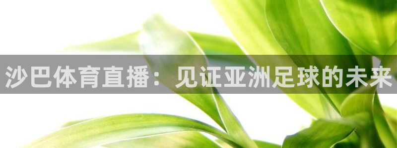 沙巴体育直播：见证亚洲足球的未来