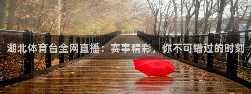 湖北体育台全网直播：赛事精彩，你不可错过的时刻