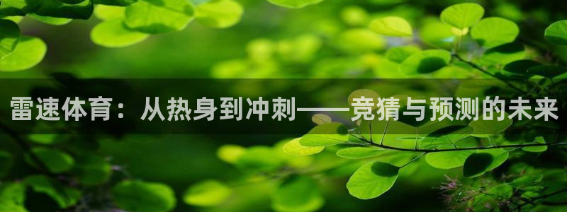 雷速体育：从热身到冲刺——竞猜与预测的未来