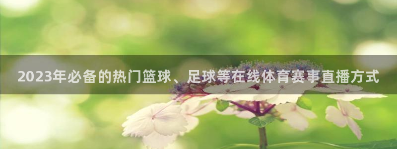 2023年必备的热门篮球、足球等在线体育赛事直播方式