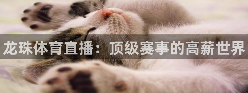 龙珠体育直播：顶级赛事的高薪世界