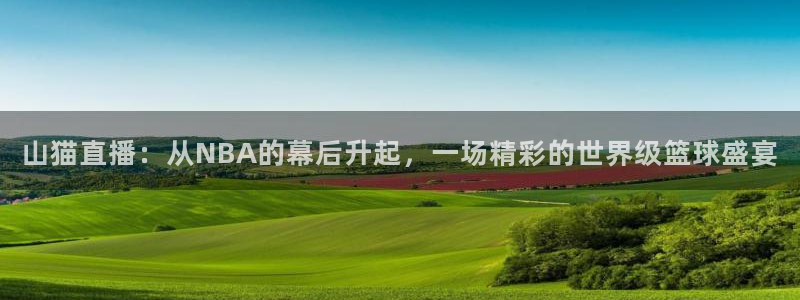 山猫直播：从NBA的幕后升起，一场精彩的世界级篮球盛宴