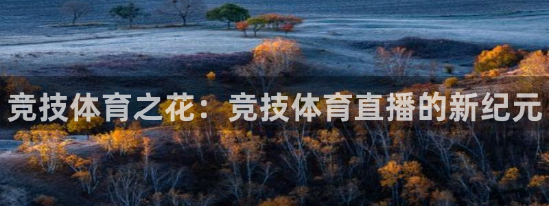 竞技体育之花：竞技体育直播的新纪元