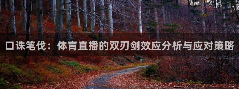 口诛笔伐：体育直播的双刃剑效应分析与应对策略