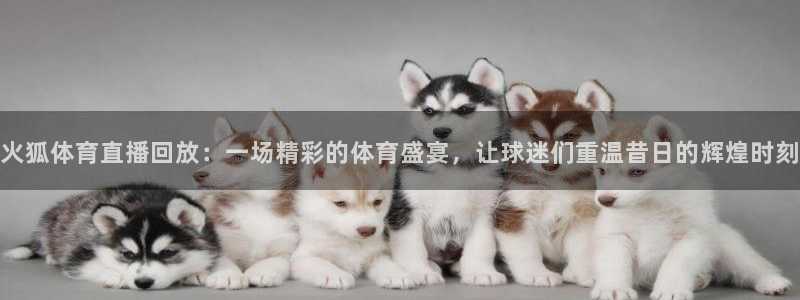 火狐体育直播回放：一场精彩的体育盛宴，让球迷们重温昔日的辉煌时刻