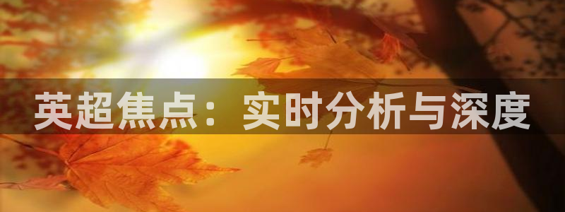 英超焦点：实时分析与深度