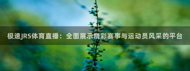 极速JRS体育直播：全面展示精彩赛事与运动员风采的平台