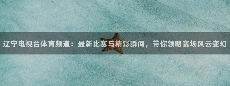 辽宁电视台体育频道：最新比赛与精彩瞬间，带你领略赛场风云变幻