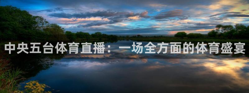 中央五台体育直播：一场全方面的体育盛宴