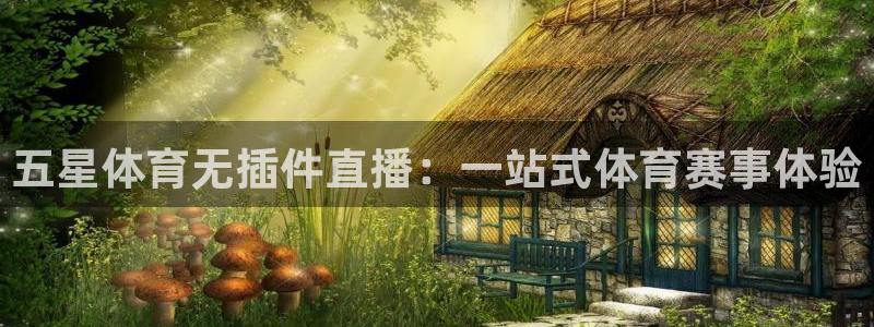 五星体育无插件直播：一站式体育赛事体验