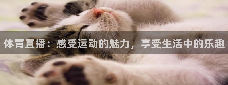 体育直播：感受运动的魅力，享受生活中的乐趣