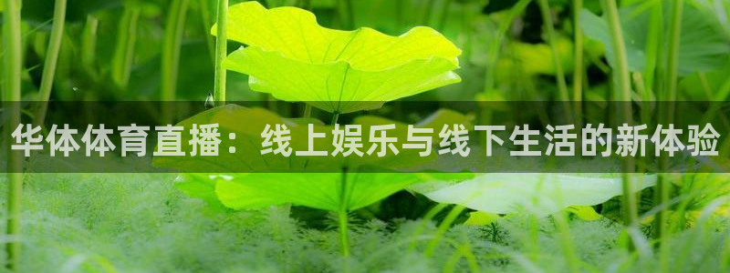 华体体育直播：线上娱乐与线下生活的新体验