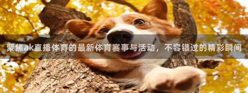 聚焦ak直播体育的最新体育赛事与活动，不容错过的精彩瞬间