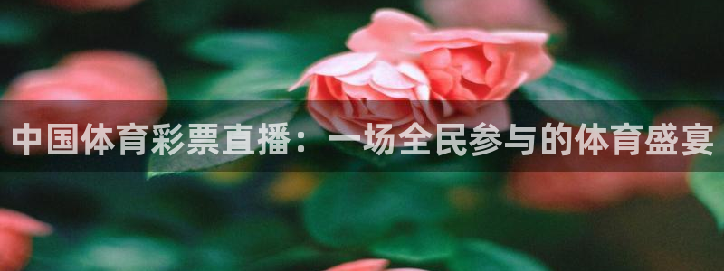 中国体育彩票直播：一场全民参与的体育盛宴