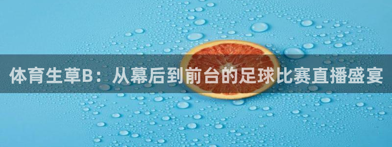 体育生草B：从幕后到前台的足球比赛直播盛宴