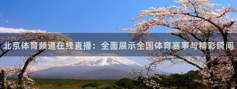 北京体育频道在线直播：全面展示全国体育赛事与精彩瞬间