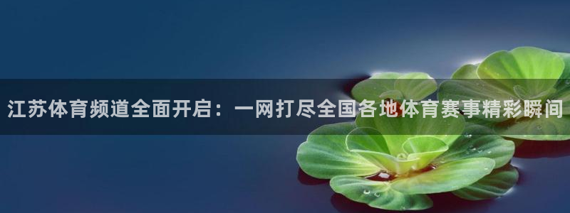 江苏体育频道全面开启：一网打尽全国各地体育赛事精彩瞬间