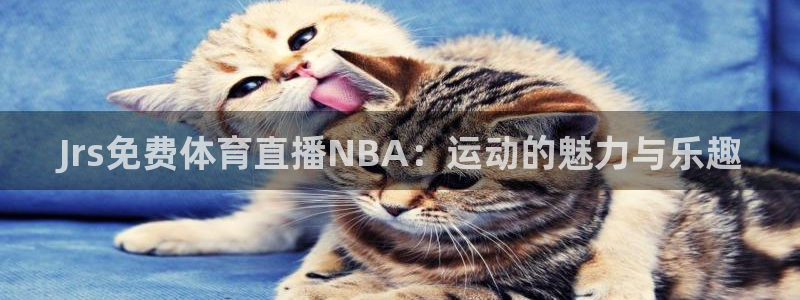 Jrs免费体育直播NBA：运动的魅力与乐趣