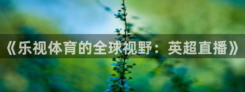 《乐视体育的全球视野：英超直播》