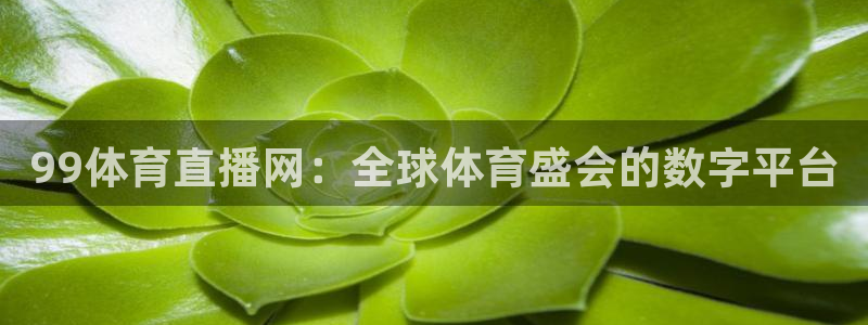 99体育直播网：全球体育盛会的数字平台