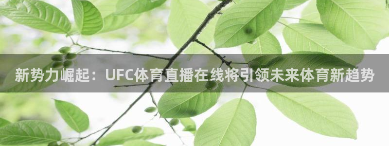 新势力崛起：UFC体育直播在线将引领未来体育新趋势